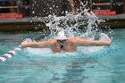 Swimming vs USCGA  Wheaton College Swimming & Diving vs US Coast Guard Academy. - Photo By: KEITH NORDSTROM : Wheaton, Swimming, Diving